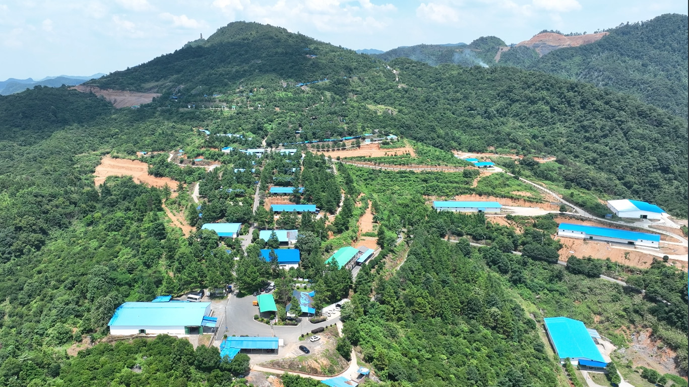 Factory Aerial View